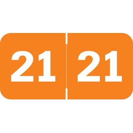 Doctor Stuff - 2021 Year Labels, Tabbies 70200 Compatible Series, Orange Stickers, 500/Roll, 2 Rolls, 3/4" x 1-1/2"