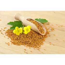 NIKA SEEDS - Vegetable White Mustard 25 Days - 500 Seeds