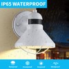 LONEDRUID 2 Pack Motion Sensor Outdoor LED Porch Light Dusk