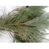 Maine Forest & Farm 4oz MAINE DRIED EASTERN WHITE PINE