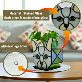 Entlityful Stained Glass Grey Cat Succulent Planter,Grey Cat Flower Pot,Decorative Plant Pots,Cute Planters for Indoor Plants,with Drainage and Tray, Pen Holder Glass Container,Gifts for Plant Lovers