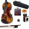 Paititi 1/16 Size Solid Wood Student Violin Complete Package w