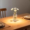 Odowalker Clear Flower Vase Set Small Glass Bud Vases Bulk