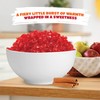 Cinnamon Discs - 2 Pound Bulk Pack (About 150 Count)