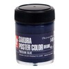 Sakura Crepas Paint Poster Color DX 1.6 fl oz (45