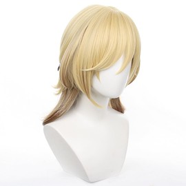 Cosplay Wig, Harajin Genshin Wig, Heat Resistant Wig, School Festival, Cultural Festival, Costume, Disguise, Wig Net Included, Cosplay Accessory Cosplay Wig