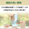 Felimoa Pig Figurine, Interior, Healing, Animal, Set of 2