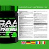 Scitec BCAA+Glutamine Xpress 300g Mojito