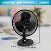 Comfort Zone Oscillating Table Fan with Adjustable Tilt, Convenient Push