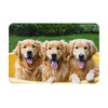 YAGEZI Golden Retriever Dogs Puppies Pets Indoor and Outdoor Door
