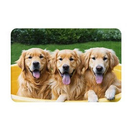 YAGEZI Golden Retriever Dogs Puppies Pets Indoor and Outdoor Door Mats are Non-Slip and Easy to Clean.They Can Be Used in Front Doors,Back Doors,Bathrooms,Courtyards and So On