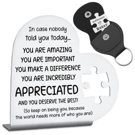 Appreciation Gifts for Women, Men, Thank You Appreciation Gifts For Coworker, Mentor, Boss, Leader, Colleague, Volunteer, Nurse, Doctor, Manager, Director Decorative Signs Plaques GDW31