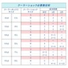Tsuda Shokai COOLER SHOCK Cold Packs, Small Size, Cold Retention,