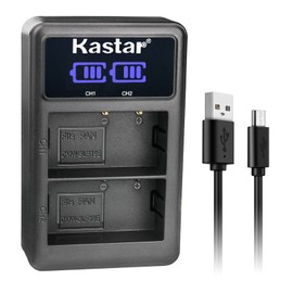Kastar DMW-BLF19 LED2 USB Battery Charger Compatible with Panasonic Lumix DMC-GH4, Lumix DMC-GH4A, Lumix DMC-GH4H, Lumix DMC-GH4KBODY, Lumix DC-GH5, Lumix DC-GH5S, Lumix DC-G9 Camera