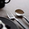 Cutipol G008GR GOA Gray Silver Dessert Spoon