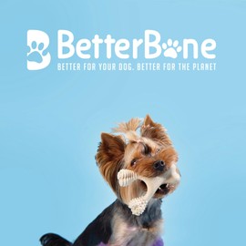 BetterBone - Dog Toy for Chewing - Mini Soft Beef - Dog Chew Bone Nylon & GMO Free on Cellulose Base - Chew Toy Soft with Delicious Beef Flavour - Chew Wood Splinter Free & Sustainable