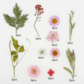 Cayway 36 PCS Natural Dried Pressed Flowers, Natural Dried Pressed Leaves, Natural Dry Flowers Leaves for Pressed Leaf Art Craft DIY Embellishment Decorations, Pink