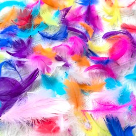 Feather Happy Birthday Confetti,200pcs Feather Natural Feathers Party Decorations for Crafting Kindergarten DIY Crafts, Wedding, Family Party Decorations Dream Catcher Supplies (deep)