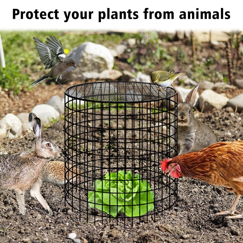 Hi Sasara 3 Sets Wire Plant Protectors Cage,11.8" Dia x