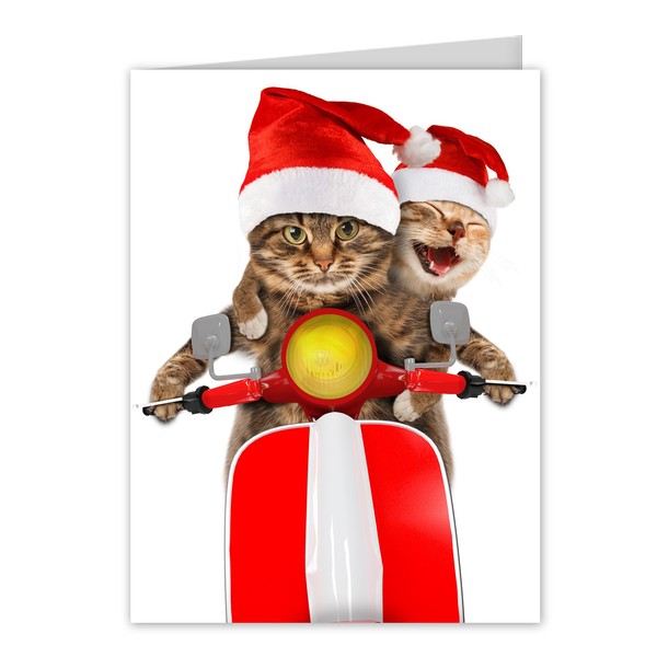 Scooter Cats Holiday Card Pack / 25 Animal Humor Greeting Cards With Envelopes/Funny Scooter Cat Santa Hat Design Featuring Christmas Message Inside