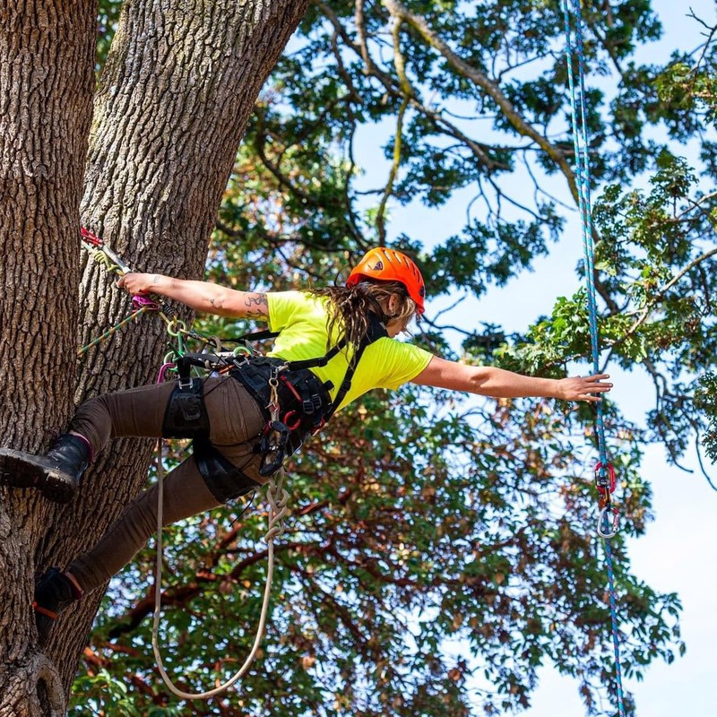 Double Braided Arborist Rope - 1/2 Inch x 200 Feet
