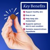 PetLab Co. Skin & Coat Chews - Support A Healthy,