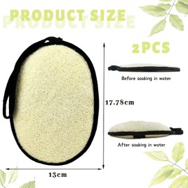 TELAIN Natural Loofah Sponge (Pack of 2), Large 7 x 5.1 Inch Shower Sponge, Exfoliating Body Scrubber for Women and Men, Biodegradable Material, Gentle on Skin