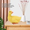 Duck Ornament Resin Weather Resistant Cute Vivid Expression Duck Statues