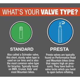 Bell STANDARD Tube 700c x 25/32 Presta