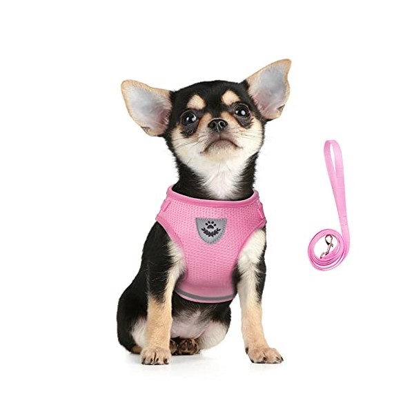 FEimaX No Pull Dog Harness and Leash Set, Soft Mesh