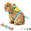 Bunny Harness and Leash for Rabbits,Bunny Vest Leash Eescape Proof