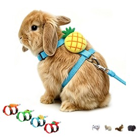 Bunny Harness and Leash for Rabbits,Bunny Vest Leash Eescape Proof Mesh Walking Cute for Small Animal Pets Kitten Rat Ferret,Pineapple