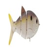 Spro SB40 BBZ1 Schwimmköder, langsam sinkend, 1 Stück, Unisex-Erwachsene, Sb40