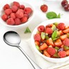 Kyraton Soup Spoons 12 Pieces, Stainless Steel Round Stainless Steel