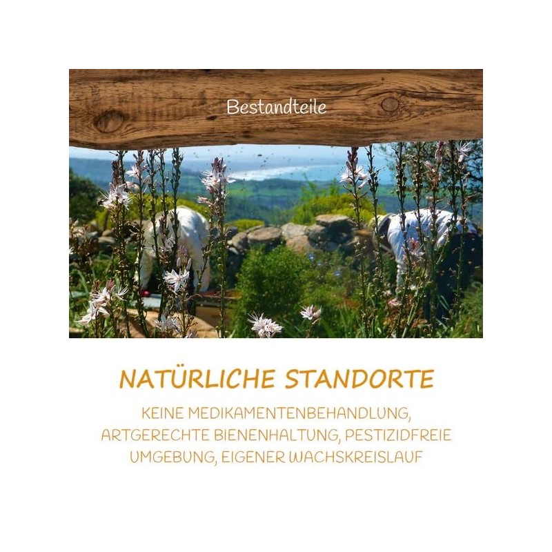 Allgäuer Wanderimkerei Distelhonig cremig 500g I traditionelle Herstellung I cremig