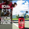 BSN Amino X, Sabor Ponche de Frutas, 435 gr