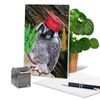 Capped Creatures - Owl Happy Graduation Day Card with Envelope