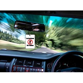 Ali Air Freshener No Boyfriend, No Problem Car Air Freshener