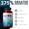 Living Silica ORGONO Mineral-Based Collagen Booster Capsules | Silica-Based |