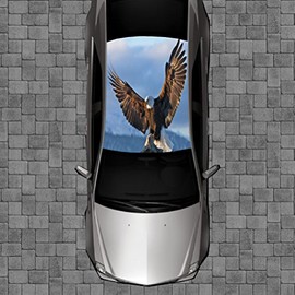 R48 Eagle Roof Wrap - Decal Decals Wraps Vinyl Wraps Art Poster Image Carbon Hood Car Truck Fiber Hood