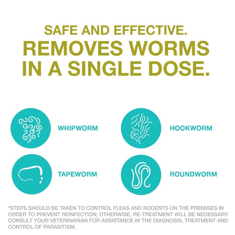 Elanco Chewable Quad Dewormer for Large Dogs, 45 lbs and