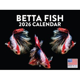 Betta Fish Calendar 2026 Monthly Wall Calender 12 Month | American Made In The USA