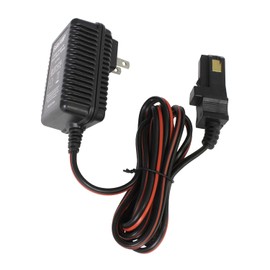 SafeAMP - Cargador para ruedas de alimentación (12 V, batería gris y batería superior naranja)