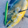 Akami Wild 190 Long Jerk Minnow 34 GR COL STM