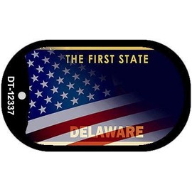 Smart Blonde Delaware with American Flag Novelty Metal Dog Tag Necklace DT-12337