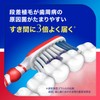シュミテクト 歯周ダブルケアEX 歯ブラシ 知覚過敏ケア レギュラー(ふつう)4本 ※色はお選び頂けません
