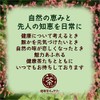 Kumasasa Tea 2.5 oz (70 g) (Postal Compatible Sizes) Kumasasa