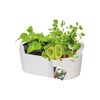 Elho Brussels Herb Station 30 - Flower Pot for Growing