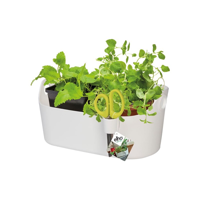 Elho Brussels Herb Station 30 - Flower Pot for Growing
