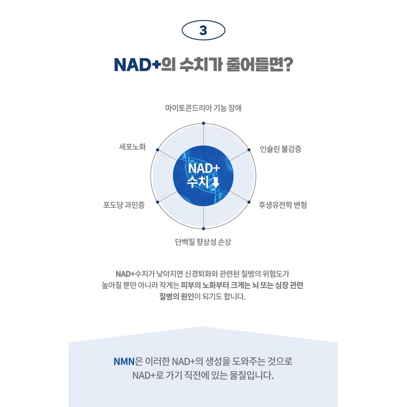 NMN Nicotinamide Nicotinamide Riboside 500mg 120 Capsules / NMN 니코틴아미드